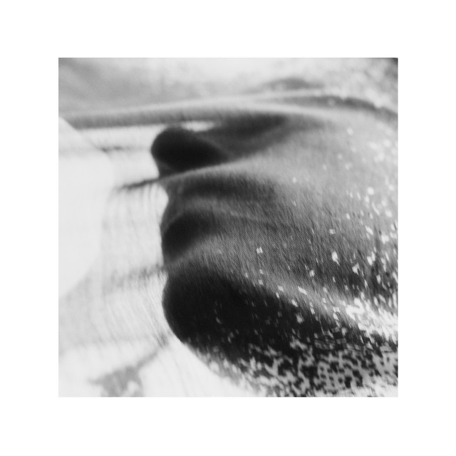 SSS album-7kbEC0e4XOXWbiOrXKOKHP cover